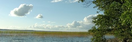 Денисов мыс. Фото 4250.