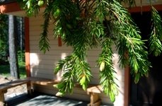 Денисов мыс. Фото 4252.