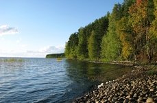 Денисов мыс. Фото 4254.