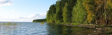 Денисов мыс. Фото 4254.