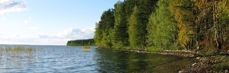 Денисов мыс. Фото 4254.