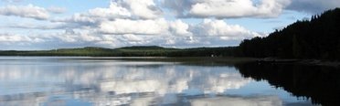 Денисов мыс. Фото 4255.