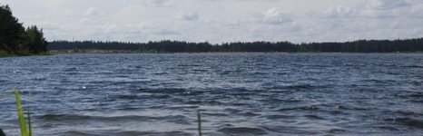 Медуша. Фото 4267.