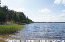 Медуша. Фото 4268.