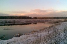 Дубровки. Фото 4271.