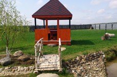 Дубровки. Фото 4274.