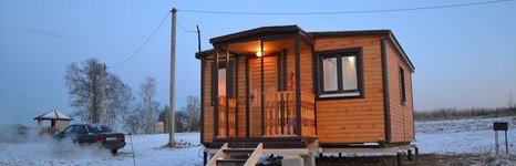 Gold Fish. Фото 428.