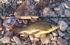 Дубровки. Фото 4281.