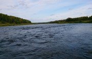 Дубровки. Фото 4282.