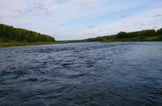 Дубровки. Фото 4282.