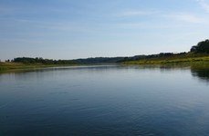 Дубровки. Фото 4284.