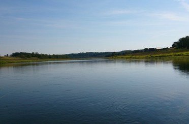 Дубровки. Фото 4284.