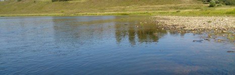 Дубровки. Фото 4285.