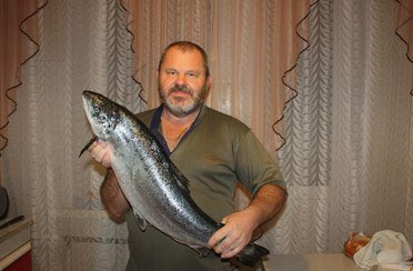 Gold Fish. Фото 429.