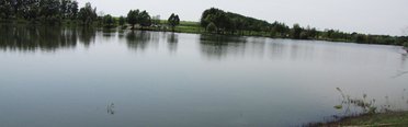 Макаровский пруд. Фото 4291.