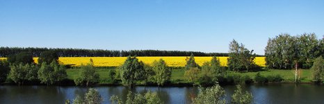 Макаровский пруд. Фото 4302.