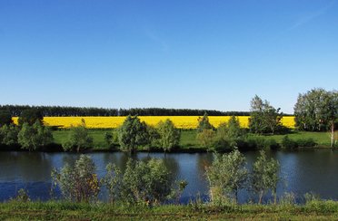 Макаровский пруд. Фото 4302.