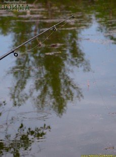 Пойма. Фото 4314.