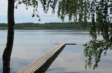Подворье. Фото 4337.