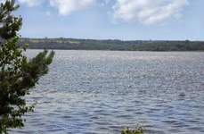 Подворье. Фото 4348.