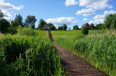 Кудыкина гора. Фото 4390.