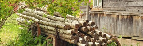 Кудыкина гора. Фото 4392.