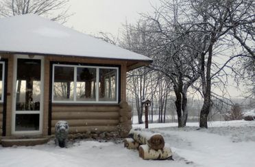 Кудыкина гора. Фото 4396.