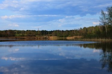 Константинова усадьба. Фото 4420.