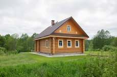 Старый сиг. Фото 443.