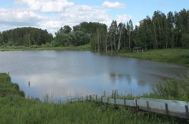 Исканское. Фото 4438.