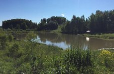 Исканское. Фото 4445.