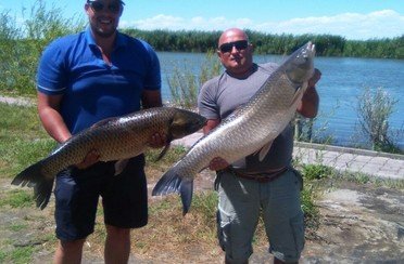 Завидоvо. Фото 4472.