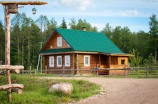 Старый сиг. Фото 448.