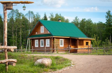 Старый сиг. Фото 448.