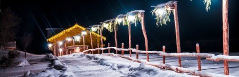 Старый сиг. Фото 449.