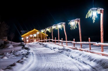 Старый сиг. Фото 449.