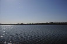 У дяди Вани. Фото 4499.