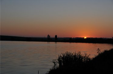 У дяди Вани. Фото 4500.