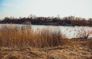 У дяди Миши. Фото 4508.