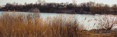 У дяди Миши. Фото 4508.