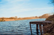 У дяди Миши. Фото 4509.