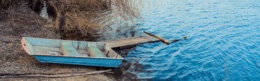 У дяди Миши. Фото 4515.