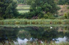 Сергеевы пруды. Фото 4531.