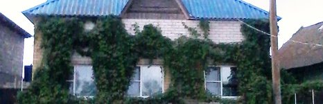 У Саши. Фото 4534.