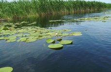 У Саши. Фото 4537.