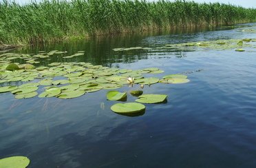 У Саши. Фото 4537.