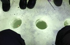 Старый сиг. Фото 454.