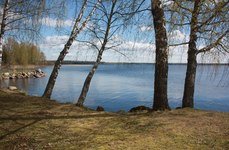 Велье. Фото 4562.