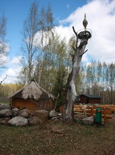 Велье. Фото 4565.