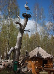 Велье. Фото 4570.